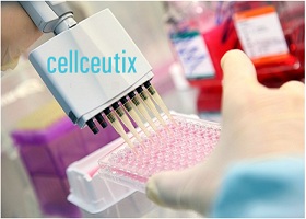 Cellceutix Provides info on Developing p53 Drug anti-Cancer Agent