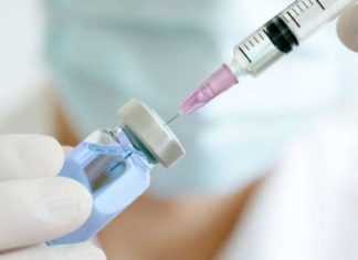 Harmonizing Biologics: Navigating Immunogenicity in Drug Development