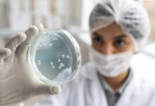 Innovative Stem Cell Therapies: Transforming Regenerative Medicine and Patient Care