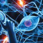 Neurologicaldisordersbrain