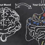 Stress And Gut Health How Are They Related