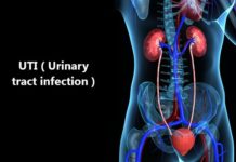 Top 6 Tips to Prevent Urinary Tract Infection