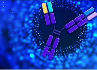 The Role of CDOs in Complex Biologics Development