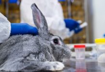 European Pharmacopoeia Replaces Traditional Pyrogen Test