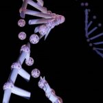 MHRA-Approves-Rentschler-Biopharma-For-cGMP-Gene-Therapy