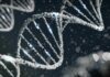 Gene Therapy