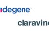 Collaboration Indigene Claravine