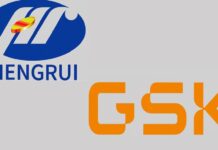 Hengrui Pharma and GSK Ink Agreement on 12 Innovative Drugs