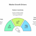 Market-Overview-visual-selection