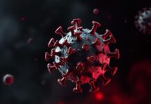 Nipah Virus Vaccines Enter Clinical
