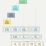 6.-Pharmaceutical-Traceability-Journey-from-Drug-to-Patient