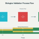 7.-Biologics-Packaging-Validation-Process-Flow