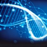 AI-in-Drug-Discovery-SAE-Media