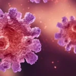 challenges-in-monoclonal-antibody-production