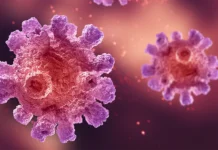 5 Critical Challenges in Monoclonal Antibody Production challenges in monoclonal antibody production