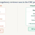What-a-regulatory-reviewer-sees-in-the-CMC-package
