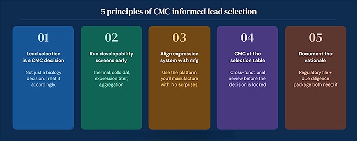 5 principles of CMC informed lead selection