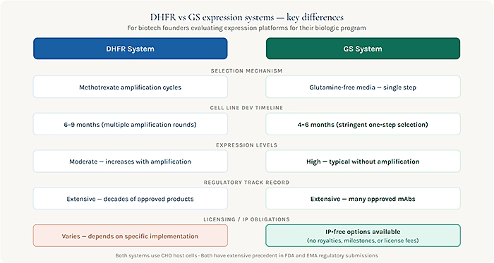 DHFR vs GS expression systems key differences 