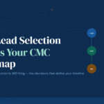 lead-selection-CMC-strategy-drug-development
