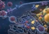 Overcoming Resistance-Associated Substitutions (RASs) to Direct-Acting Antivirals