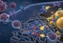 Overcoming Resistance-Associated Substitutions (RASs) to Direct-Acting Antivirals