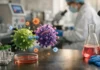 In Vivo CAR-T Is Bringing Gene Therapy Full Circle: Preparing for the Next Generation of Lentiviral Vector Testing In Vivo CAR-T Is Bringing Gene Therapy Full Circle: Preparing for the Next Generation of Lentiviral Vector Testing