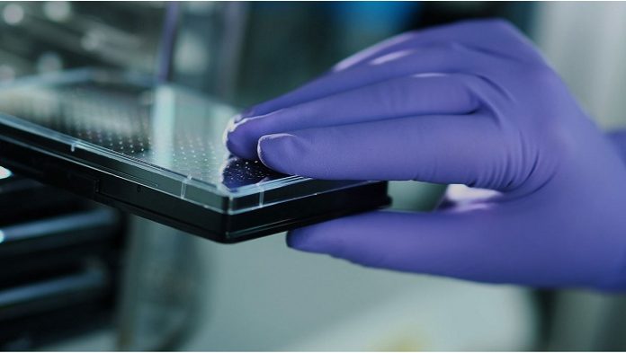 Sanofis phase 2 study of BTK inhibitor, SAR442168 meets primary endpoint to treat MS Sanofis phase 2 study of BTK inhibitor, SAR442168 meets primary endpoint to treat MS