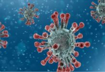 Native Antigen Company unveils novel coronavirus antigens