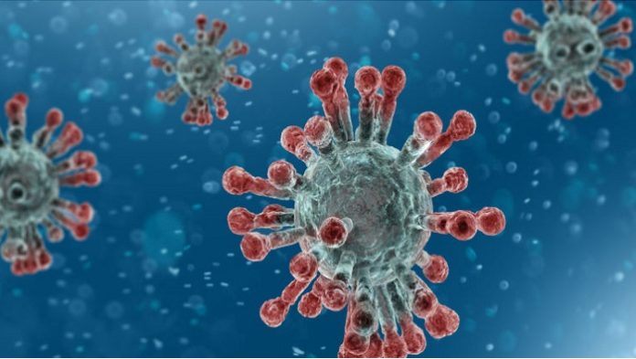 Native Antigen Company unveils novel coronavirus antigens