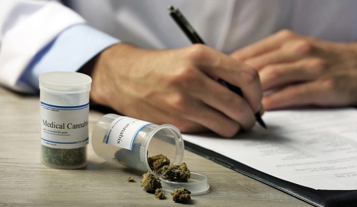 Bruker and Purity-IQ sign partnership agreement to transform the cannabis regulatory landscape