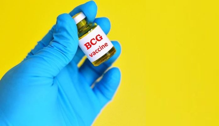 BCG vaccine safe for elderly, can protect against respiratory infections