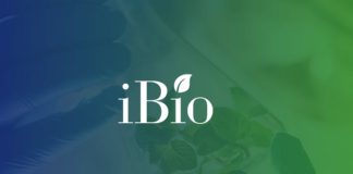 iBio to Advance COVID-19 LicKM-Subunit Vaccine Candidate, IBIO-201