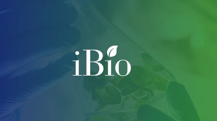 iBio to Advance COVID-19 LicKM-Subunit Vaccine Candidate, IBIO-201