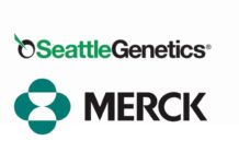 Seattle Genetics and Merck Announce Two Strategic Oncology Collaborations