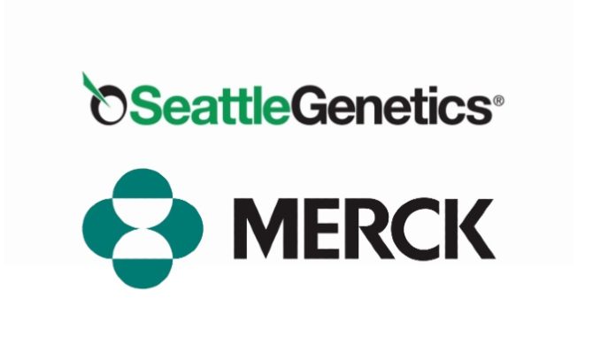Seattle Genetics and Merck Announce Two Strategic Oncology Collaborations