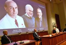 2020 Nobel Prize: Three scientists win award in Physiology or Medicine for Hepatitis C virus discovery