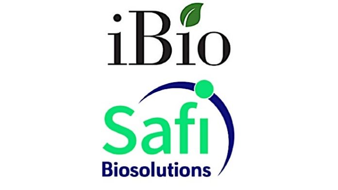 iBio Enters into Agreement with Safi Biosolutions to Develop Growth Factors and Cytokines Using the FastPharming System