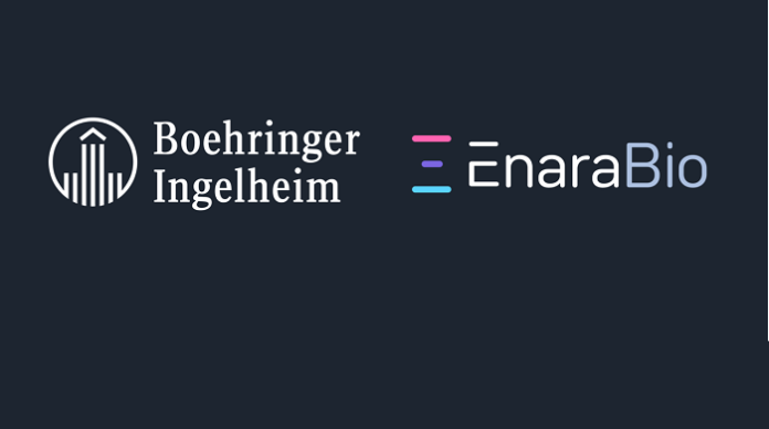    Enara and Boehringer Ingelheim sign oncology partnership