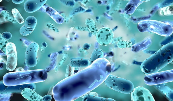 How Pre and Probiotics Will Protect You from Infections Like Covid19