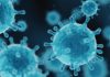 Virus Safety in Continuous Processes