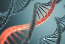 MTHFR Gene Mutation Symptoms, testing, and Treatment 