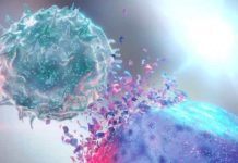 New Molecular Target For Cancer Therapy Found Through Study