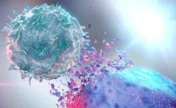 New Molecular Target For Cancer Therapy Found Through Study