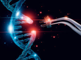 GenKOre- Korea Creating Base-Editing Tech For Genetic Issues