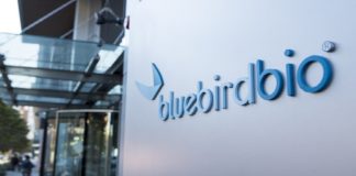 Gene Therapy By Bluebird Bio Costing $2.8M Given Nod By FDA