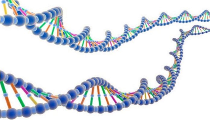 A Guide to Understanding Cloning