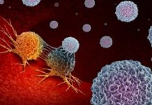 Immune System Can Get Bacteria Assistance To Thwart Tumors