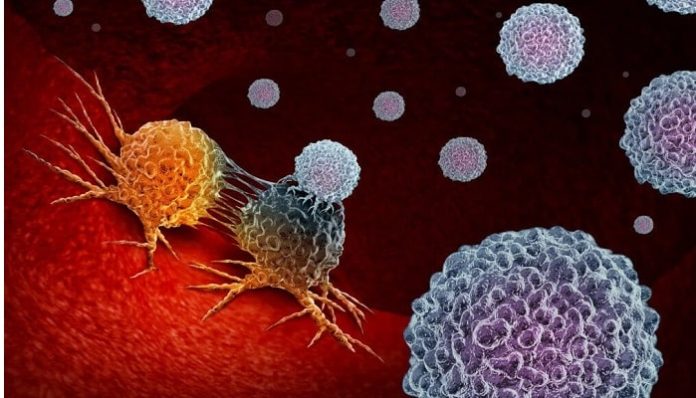 Immune System Can Get Bacteria Assistance To Thwart Tumors