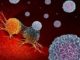 Immune System Can Get Bacteria Assistance To Thwart Tumors