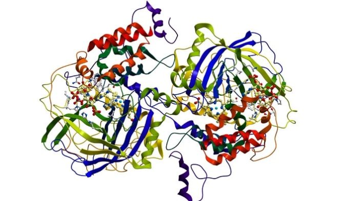 Prediction of Enzyme Functions Better Than Key Tools By AI